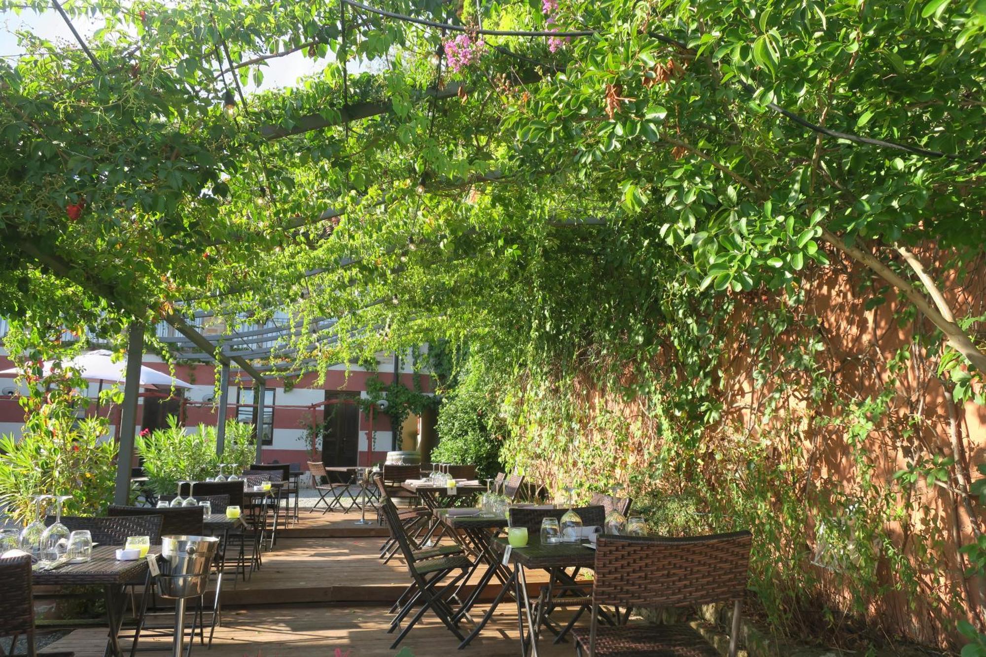 Foresteria Ristorante Conti Roero Monticello d'Alba Ngoại thất bức ảnh